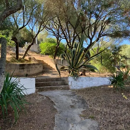 Casa Le Cicale דירה